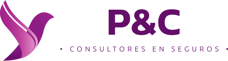 P&C Consultores en Seguros
